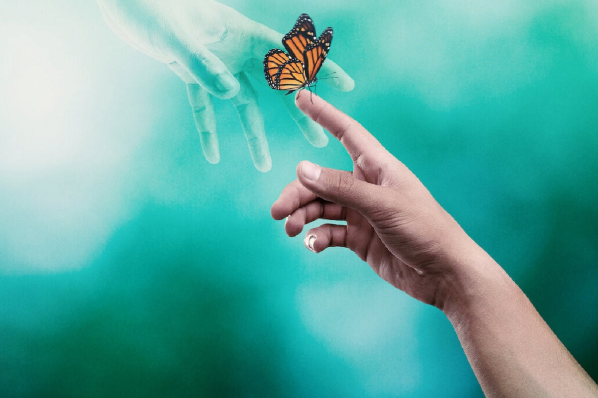 TALLER: LA VIDA DESPUÉS DE LA MUERTE