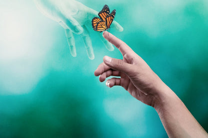 TALLER: LA VIDA DESPUÉS DE LA MUERTE